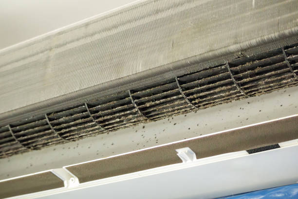 Best Professional Duct Cleaning Services  in Havre De Grace, MD
